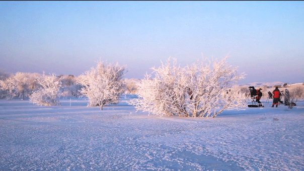 1643037235365061.gif 4.gif