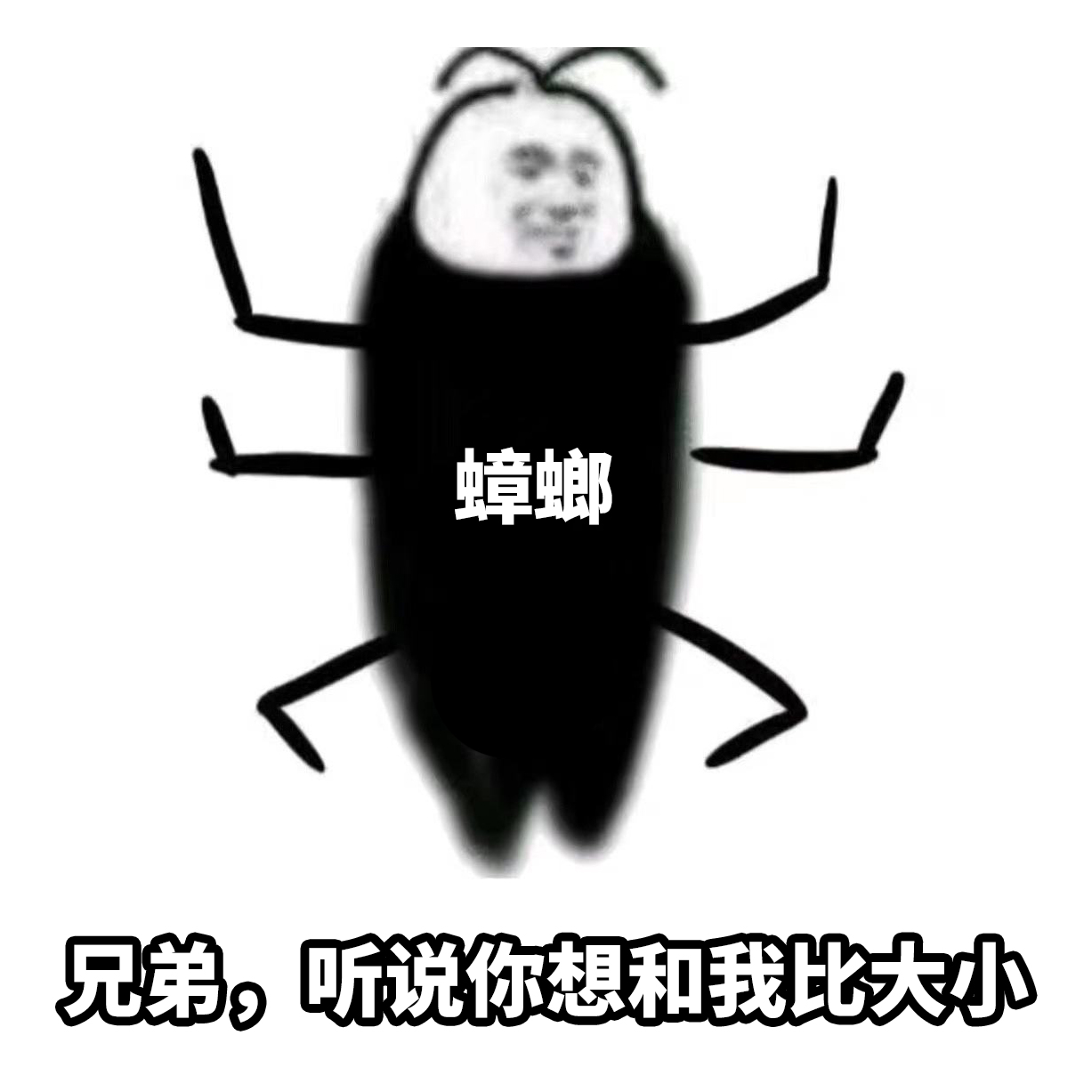 1646015398112207.jpg 1646015398112207.jpg