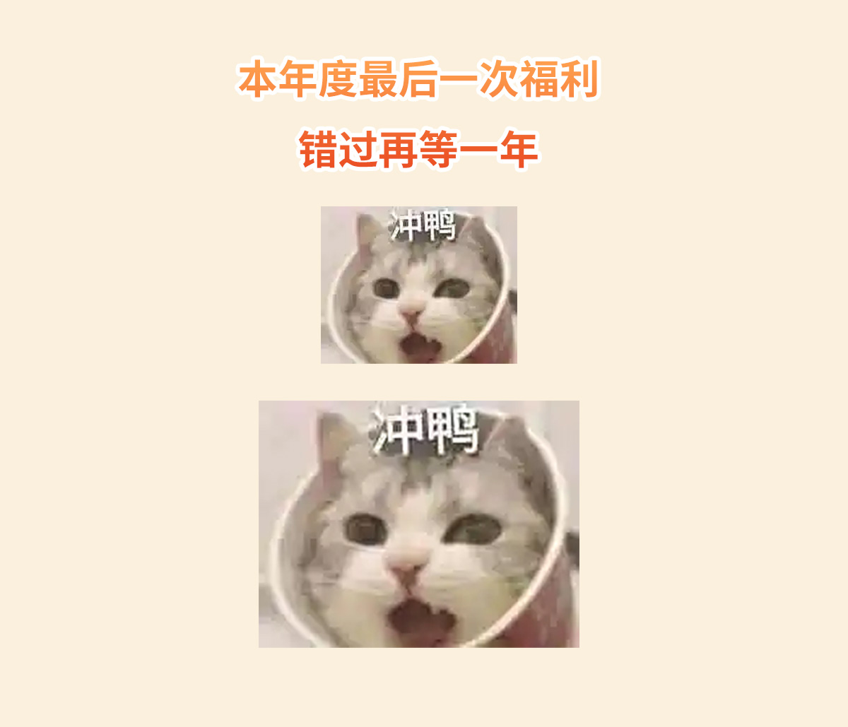 雙十二預售攻略，福利優惠劃重點~ (9).jpg